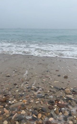 Valencia 2022 Valencia 2022