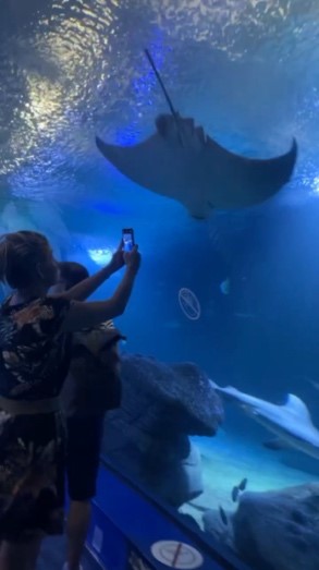 Valencia 2022 Valencia 2022